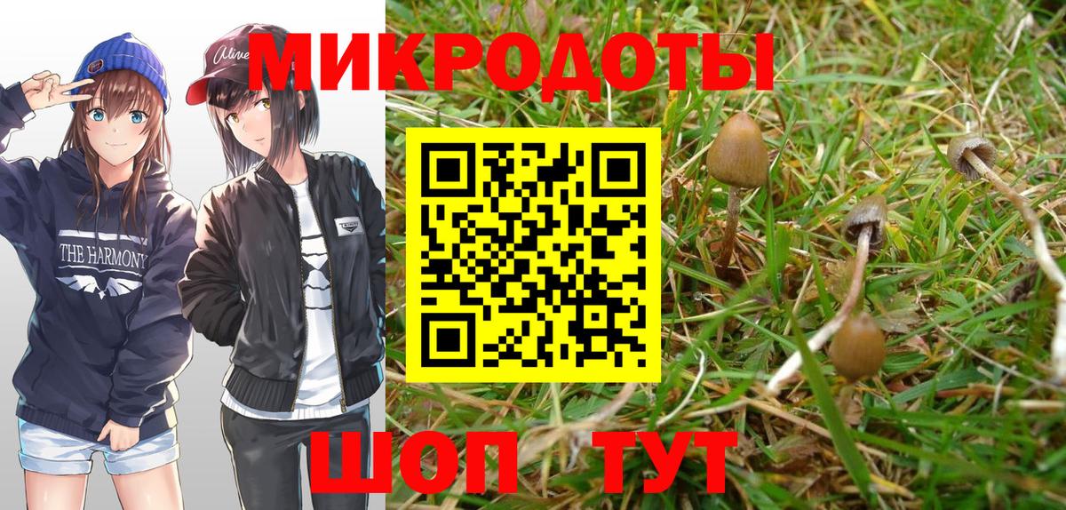 Псилоцибиновые грибы Psilocybine cubensis Йошкар-Ола